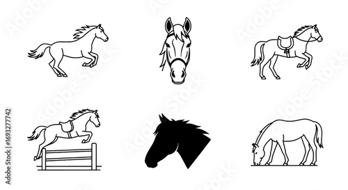 Collection of Horse Silhouettes Featuring Various Poses and Actions, Equestrian Themes