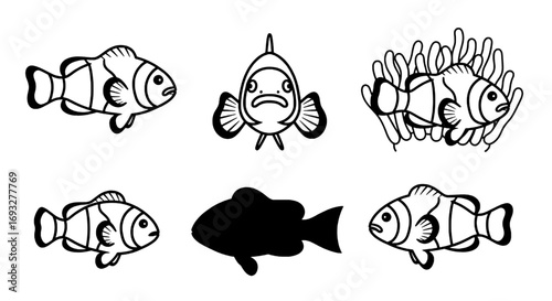 Clownfish Illustration Marine Life Vector Icons and Sea Creature Black and White Art