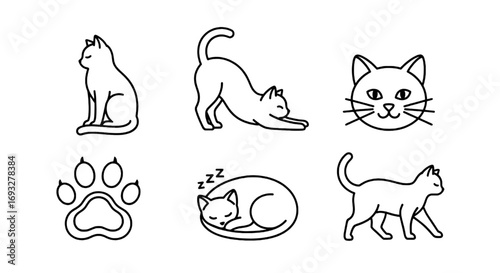 Set of Cute Cat Illustrations Sitting, Stretching, Sleeping, Walking, and Paw Print Icons