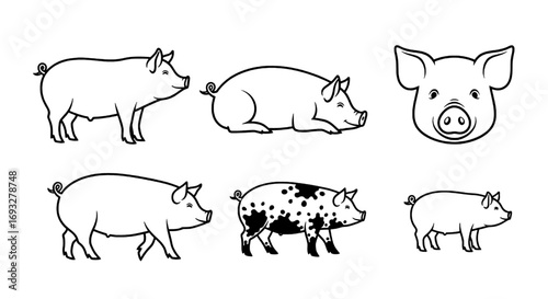 Adorable Pig Illustrations A Collection of Charming Swine in Simple Line Art