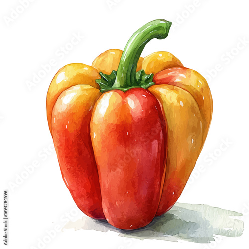 watercolor of Bell Pepper, vector, isolated on a white background.