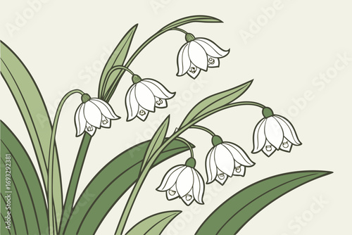 Delicate white snowdrop flowers bloom elegantly with lush green leaves, evoking spring renewal and natural beauty.