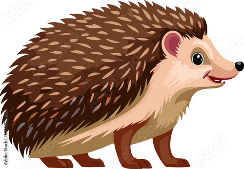 ハリネズミ