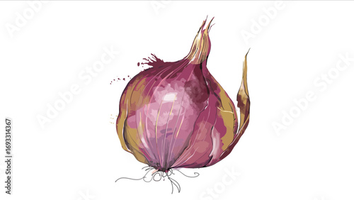 Watercolor illustration of a red onion with roots and stem on a white background.