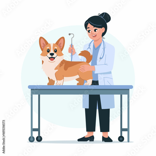 A joyful veterinarian examines a corgi, highlighting the bond between pets and their caregivers, showcasing professionalism and passion for animal health and well-being.