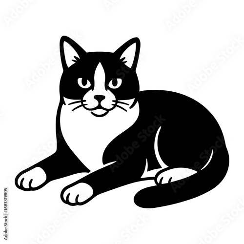 Tuxedo Cat Laying Down