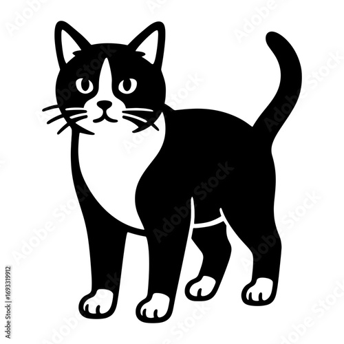 Tuxedo Cat Standing