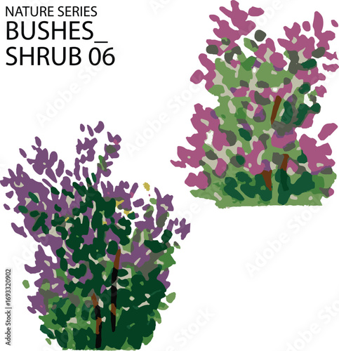 vector illustration lilac flowers frame and bushes