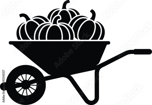 Wheelbarrow overflowing with pumpkins harvest autumn