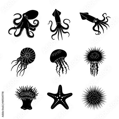 Collection of nine marine animals including octopus squid jellyfish starfish and sea urchin in black