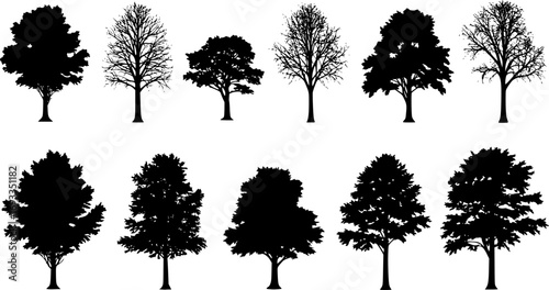 various deciduous trees silhouettes on the white background. vector set. PNG white background
