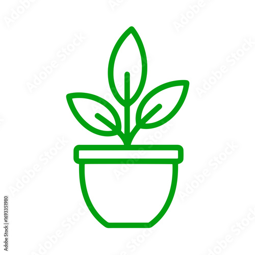 Vibrant green plant growing in a simple pot symbolizing growth and nature's beauty