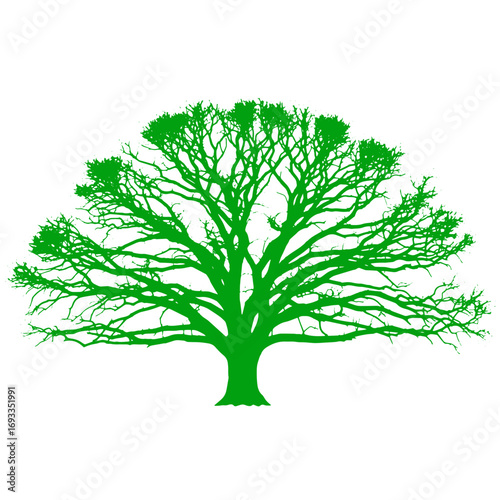 Vibrant green oak tree silhouette symbolizing nature growth and life