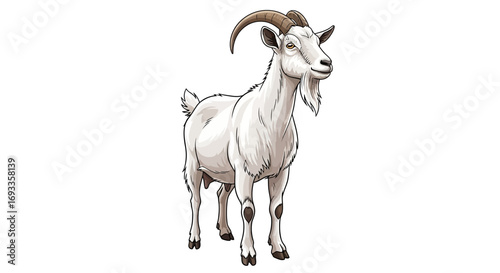 Detailed illustration of a white goat with horns and a beard standing on a white background, showcasing its features.