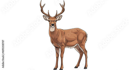 Illustration of a brown deer with large antlers standing.