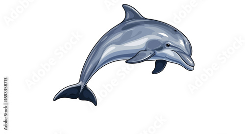 A leaping dolphin, detailed illustration.
