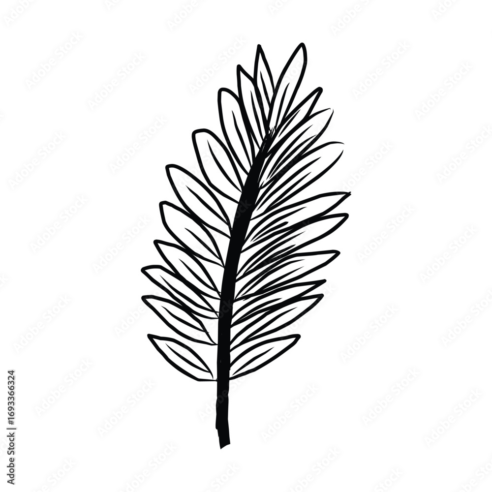 Fototapeta premium Detailed black feather line art illustration with hand-drawn style, perfect for design projects, prints, and decorative creative use.