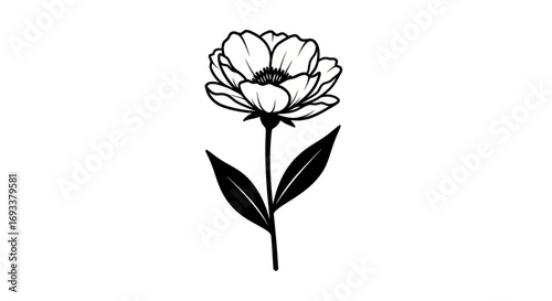 Elegant monochrome floral illustration featuring a blooming flower with detailed petals and leaves