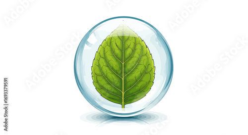 Encapsulated freshness green leaf orb natural element vector illustration for design projects