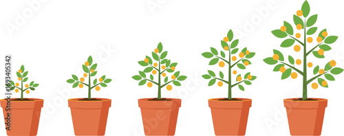 Illustration of plant growth stages in pots, showing development process of a tree from small sprout to full maturity.