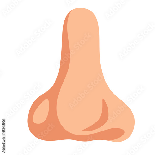 Frontal view of human nose with visible nostrils. Great for anatomy charts, respiratory health graphics, or biology illustrations.