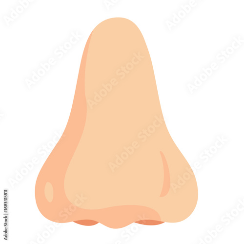 Frontal view of human nose with visible nostrils. Great for anatomy charts, respiratory health graphics, or biology illustrations.