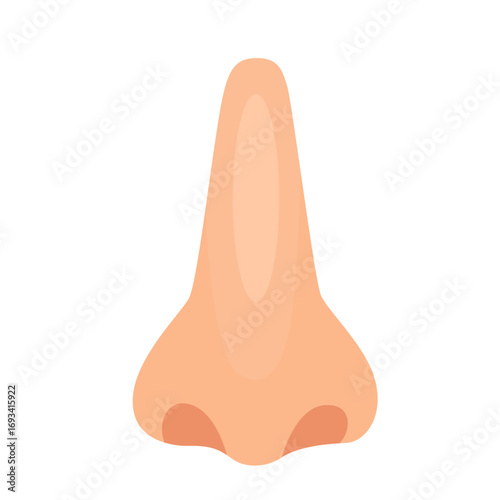 Human nose with visible nostrils. Great for anatomy illustrations, respiratory health graphics, or medical and biology designs.