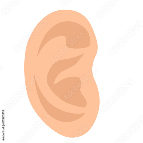 Side view of human ear. Perfect for anatomy diagrams, hearing aid visuals, or auditory health-related designs.