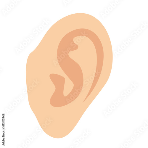 Human ear with simplified internal structure. Suitable for anatomy charts, hearing health graphics, or medical illustrations.