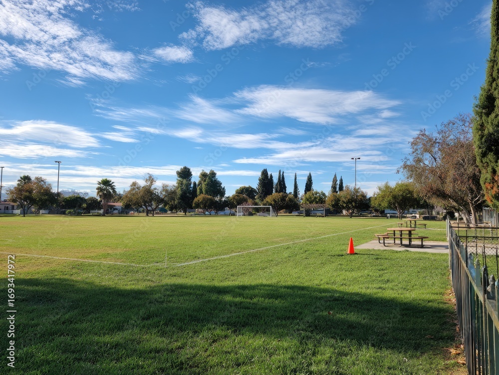 Obraz premium Wide-open grassy field under a partly cloudy sky