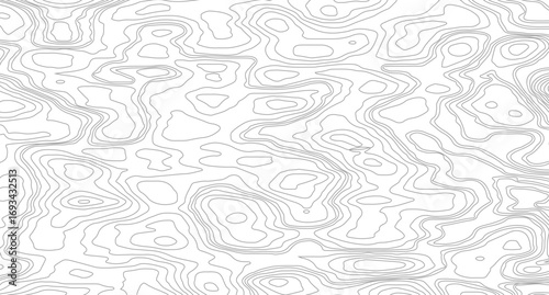 Topographic contour map. similarcartography illustration. Abstract outline grid, vector illustration. Topography and geography map grid abstract backdrop. 