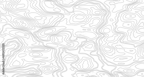 Topography and geography map grid abstract backdrop. Business concept, Fish Fillet Texture, Salmon fillet texture, fish pattern. paper texture.
