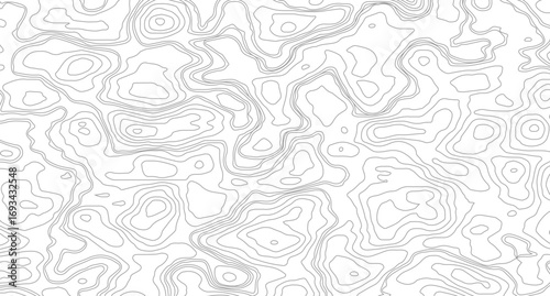 Topography and geography map grid abstract backdrop. Business concept, Fish Fillet Texture, Salmon fillet texture, fish pattern. paper texture.
