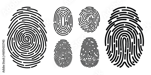 Set of Fingerprint Patterns - Black Lines on White Background, Diverse Fingerprint Types, Vector Illustration