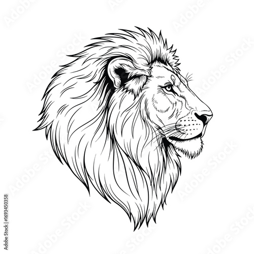 Majestic male lion head with a flowing mane a detailed black and white line art illustration.