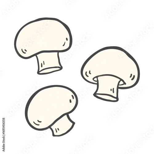 Hand drawn mushroom illustration. Doodle mushroom illustration.