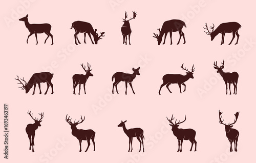 Vector silhouettes of deer, Deer silhouette collection, Deer svg bundle. 