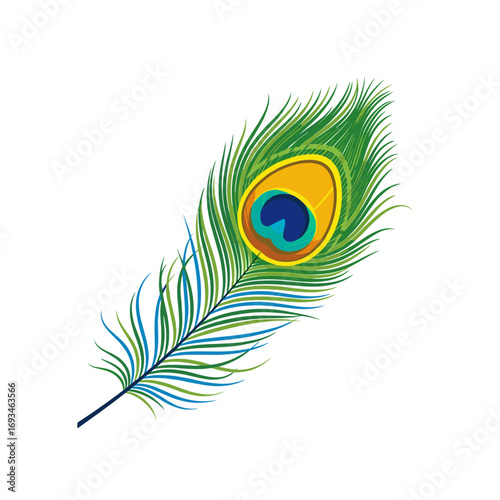 A close up illustration of a beautiful peacock feather with intricate detail and vibrant green blue and yellow colors
