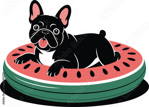 Playful french bulldog enjoying a summer day on a watermelon float silhouette