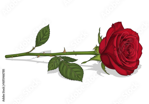 A single red rose with green leaves