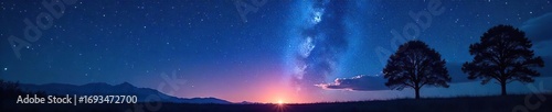 Silhouette of trees against a starlit night sky, evoking a sense of mystery and quiet contemplation Perfect for spiritual, meditation, and nature themes , spiritual, enigma, dark