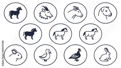 Silhouette and outline icons of farm animals and a duckling Keywords: horse silhouette, goat head, cow head, dog head, horse, goat, cow, dog, rabbit, duck, chicken, farm animals, animal