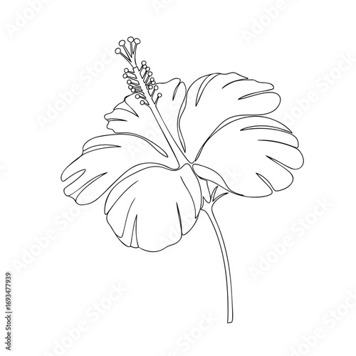 A minimalist oneline art drawing of a tropical hibiscus flower with a prominent stamen.