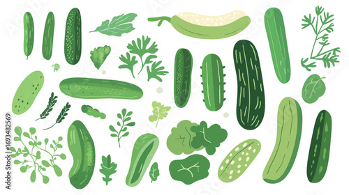 Cucumber – Vector Graphic Design