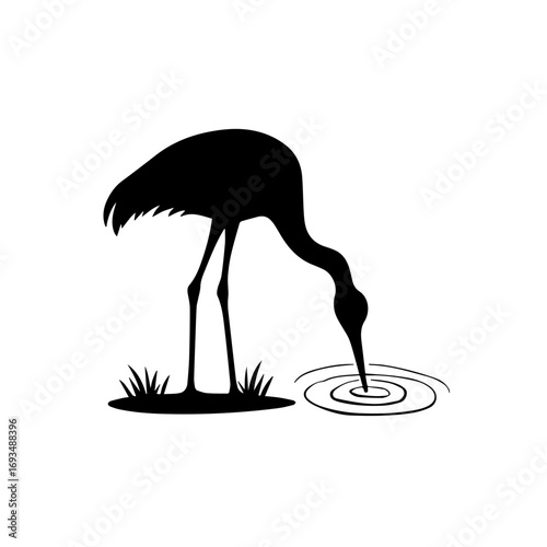 vector illustration of a flamingo silhouette , flamingo, bird, animal, vector, silhouette, illustration, nature, heron, pink, wildlife, crane, black, birds, white, ostrich, beak, isolated, cartoon, wi