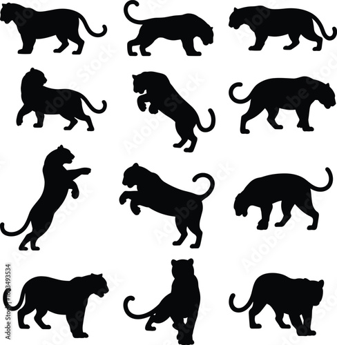 Flat vector illustration of big cat silhouettes, panther and lion poses, wild animal shapes, powerful feline figures, jungle wildlife concept, big cats in action