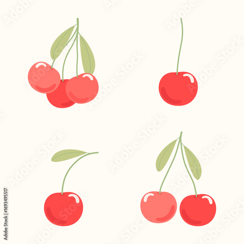 vector illustration of cherry