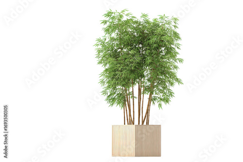 Tall leafy green houseplant in a modern beige planter.