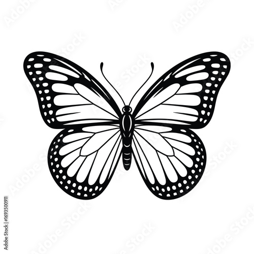 Black and white detailed illustration of a monarch butterfly