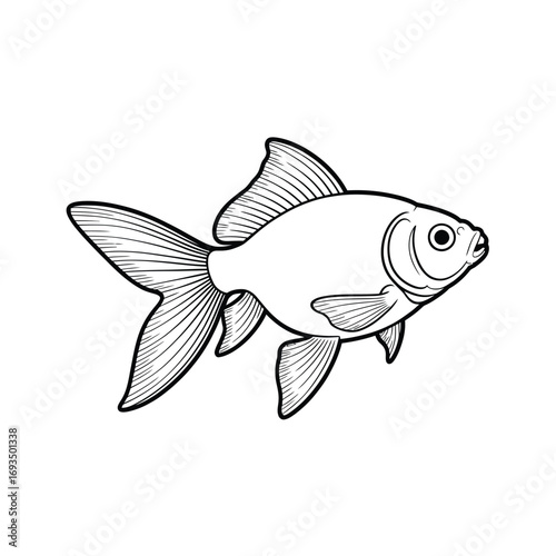 Hand drawn black and white illustration of a goldfish